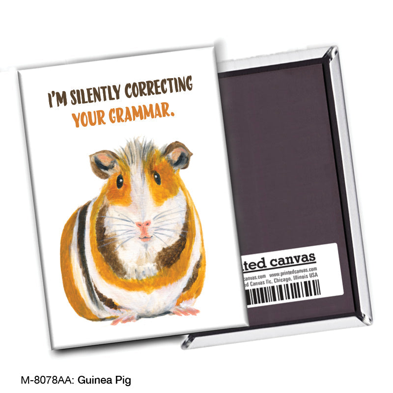 Guinea Pig, Magnet (M-8078AA)