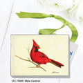 Male Cardinal, Mini Canvas (MC-7866B)