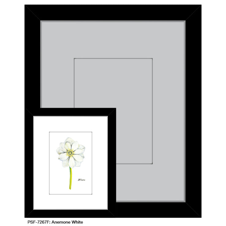 Anemone White, Print (#7267F)