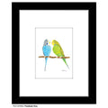 Parakeet Duo, Print (#8780A)