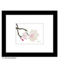 Cherry Blossom, Print (#7098A)