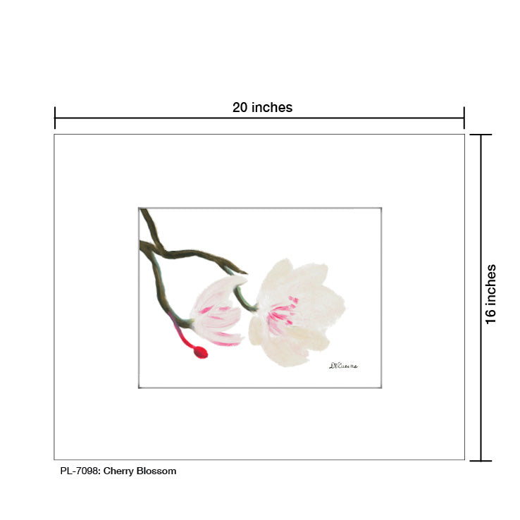 Cherry Blossom, Print (#7098A)