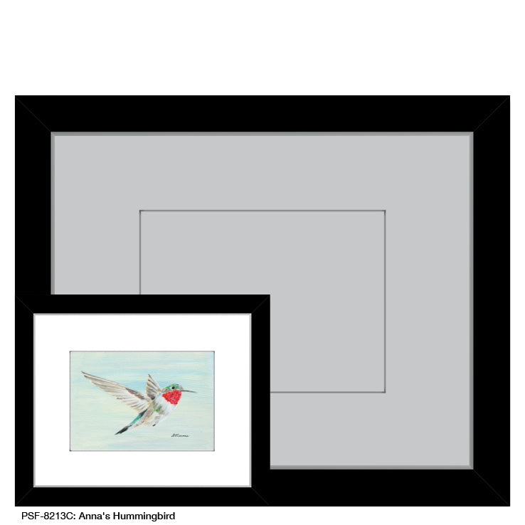 Anna's Hummingbird, Print (#8213C)