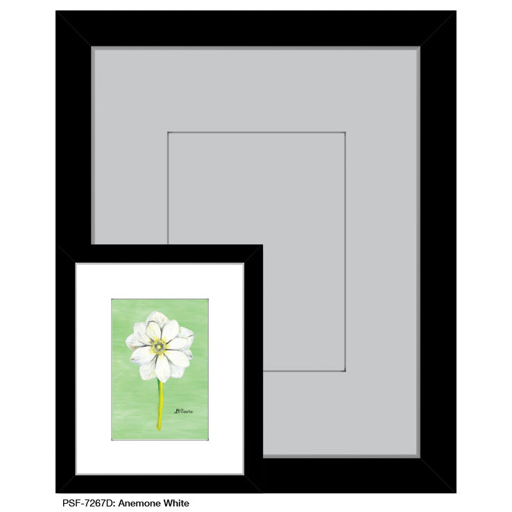 Anemone White, Print (#7267D)