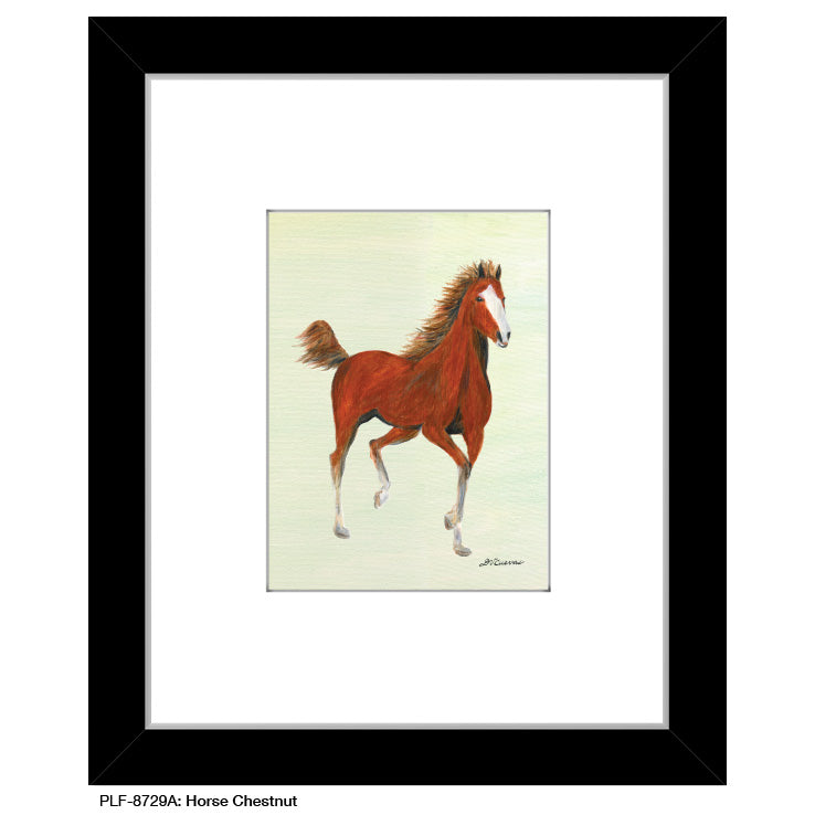 Horse Chestnut, Print (#8729A)