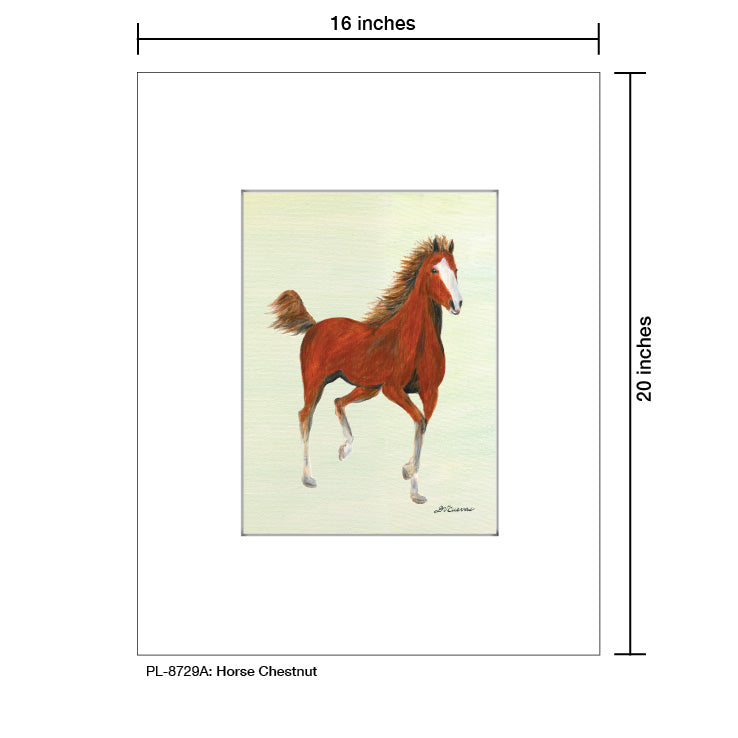 Horse Chestnut, Print (#8729A)