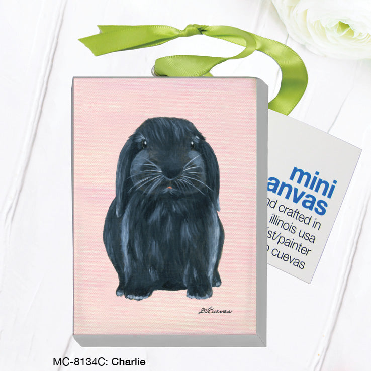 Charlie Bunny, Mini Canvas (MC-8134C)