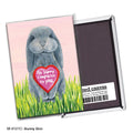 Bunny Boo, Magnet (M-8121C)