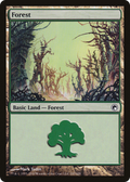 Forest (SOM-247) - Scars of Mirrodin Foil