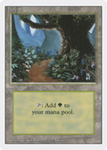 Forest (3ED-305) - Revised Edition