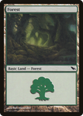Forest (SHM-299) - Shadowmoor Foil