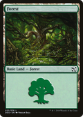 Forest (DDU-032) - Duel Decks: Elves vs. Inventors
