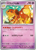 Dachsbun (034/078) - SV1S Scarlet ex