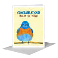 Plume, Greeting Card (#8327C)