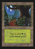 Forest (IED-281) - Intl. Collectors' Edition