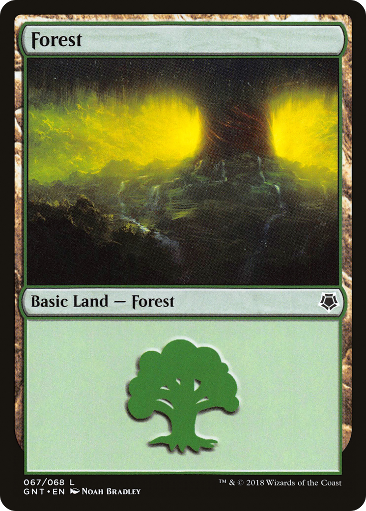 Forest (GNT-067) - Game Night