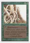 Wall of Brambles (2ED-224) - Unlimited Edition