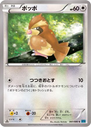 Pidgey (061/080) - XY2 Wild Blaze 1st Edition