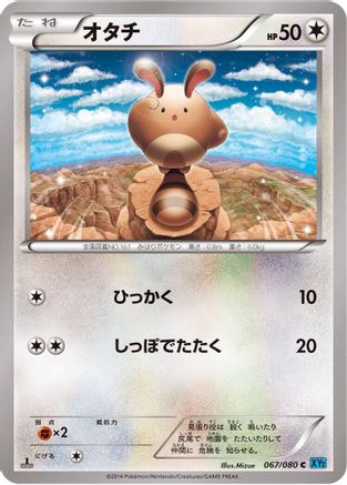 Sentret (067/080) - XY2 Wild Blaze 1st Edition
