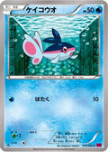 Finneon (018/088) - XY4 Phantom Gate Unlimited