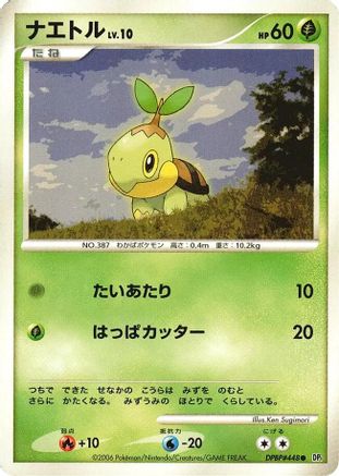 Turtwig  - DP1 SpaceTime Creation Unlimited
