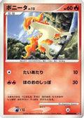 Ponyta  - DP1 SpaceTime Creation Unlimited