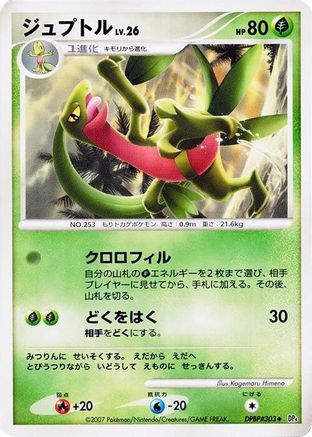 Grovyle  - DP4 Dawn Dash 1st Edition