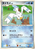 Wingull (024/090) - Pt4 Advent of Arceus 1st Edition