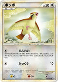 Pidgey (058/080) - L3 Clash at the Summit 1st Edition
