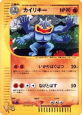 Machamp (048/048) - Pokemon Web 1st Edition Holofoil