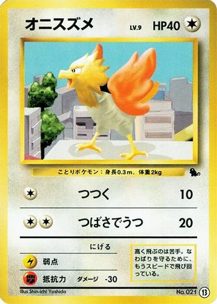 Spearow (13) - Intro Pack Squirtle