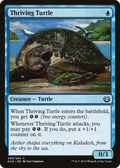 Thriving Turtle (KLD-066) - Kaladesh Foil