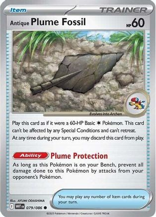 Antique Plume Fossil 079 - SV White Flare