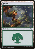 Forest (STX-375) - Strixhaven: School of Mages