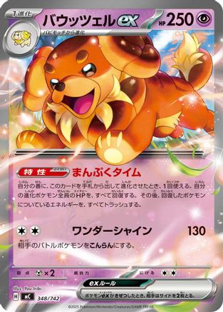 Dachsbun ex (348/742) - Start Deck 100 Battle Collection