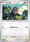Taillow (579/742) - Start Deck 100 Battle Collection