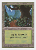 Forest (2ED-) - Unlimited Edition