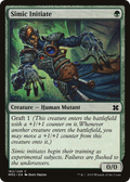 Simic Initiate (MM2-162) - Modern Masters 2015 Foil