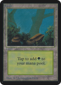 Forest (LEA-294) - Limited Edition Alpha