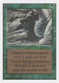 Web (2ED-229) - Unlimited Edition