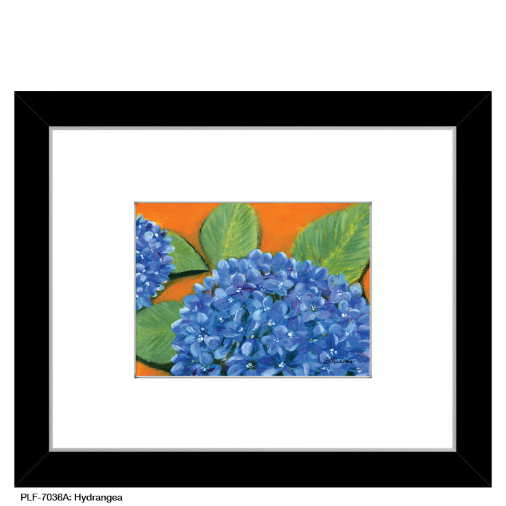 Hydrangea, Print (#7036A)