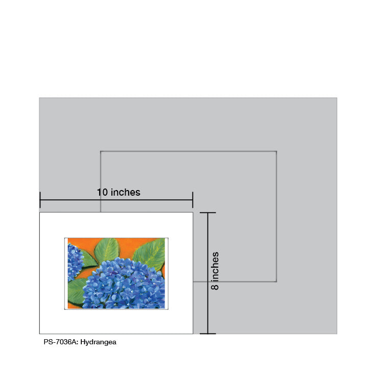 Hydrangea, Print (#7036A)