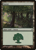 Forest (LRW-301) - Lorwyn Foil