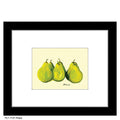 Pears, Print (#7137A)