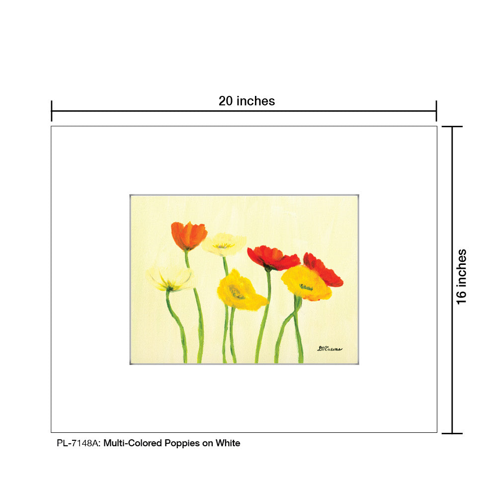 Multi-Colored Poppies on White, Print (#7148A)