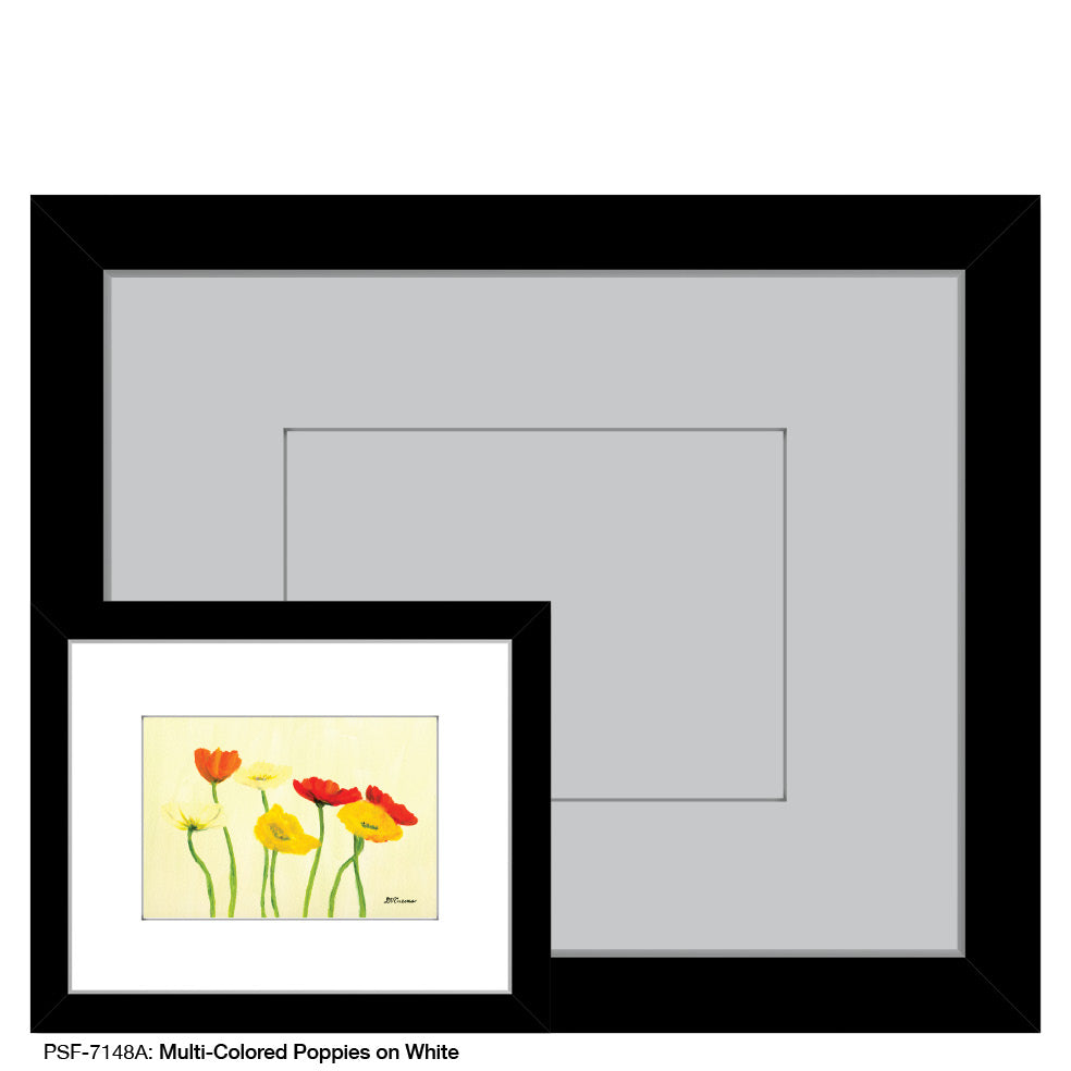 Multi-Colored Poppies on White, Print (#7148A)