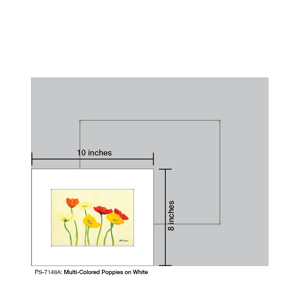 Multi-Colored Poppies on White, Print (#7148A)