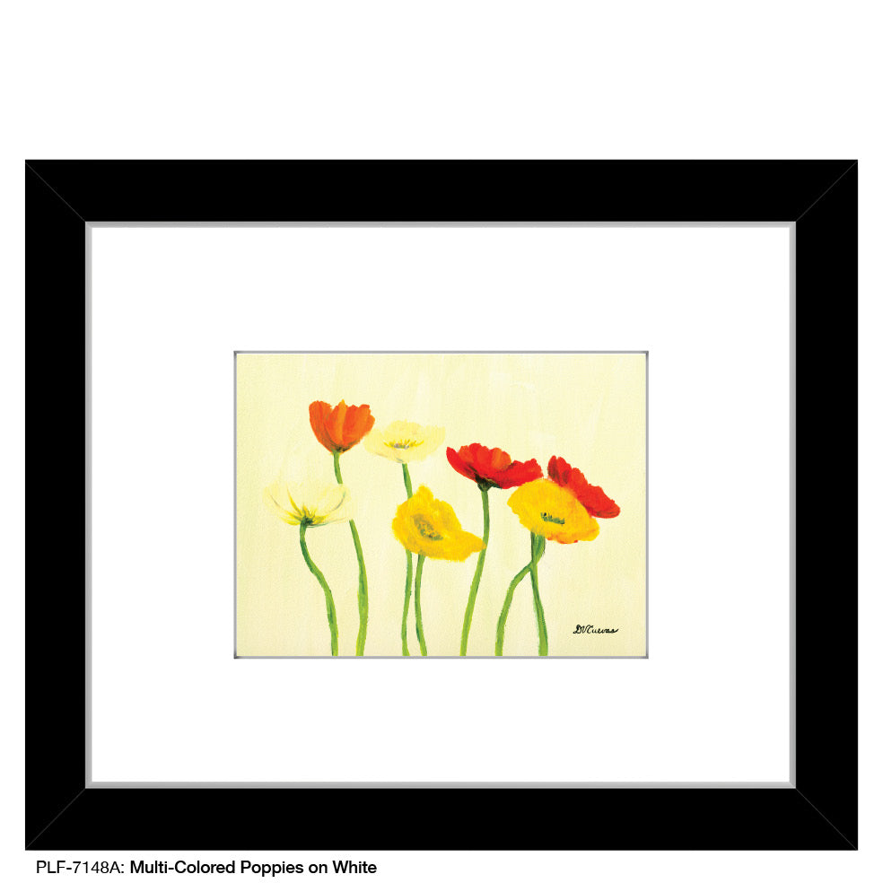 Multi-Colored Poppies on White, Print (#7148A)