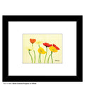Multi-Colored Poppies on White, Print (#7148A)