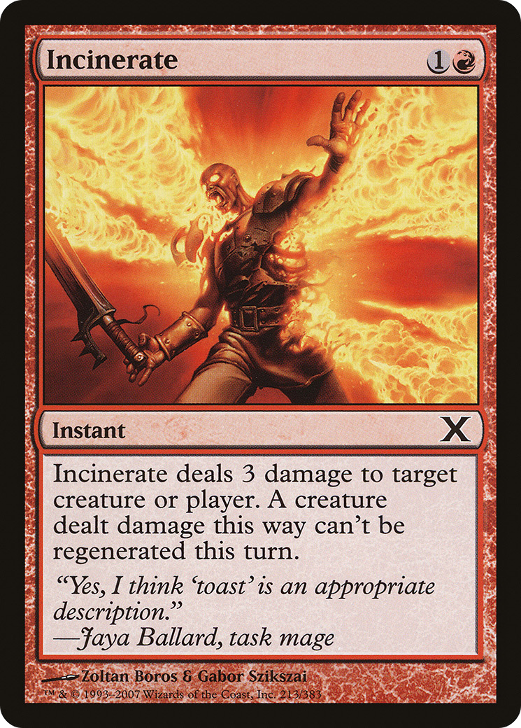Incinerate (10E-213) - Tenth Edition